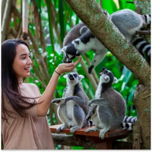 zoo-bali